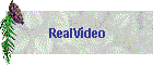 RealVideo